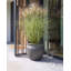 MACEDON Pot Planter