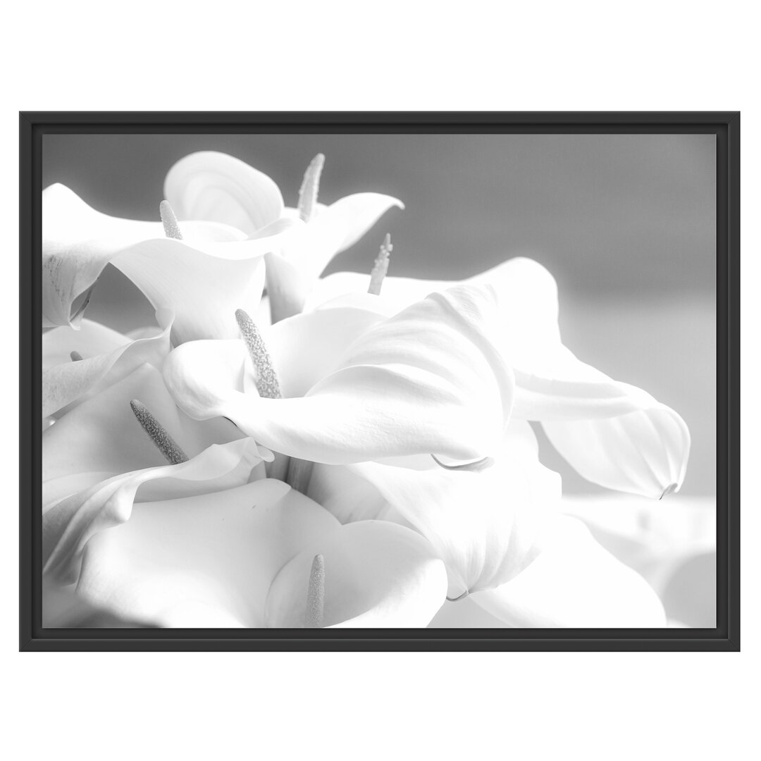 Gerahmtes Wandbild weiße Calla Lilien Kunst B&W