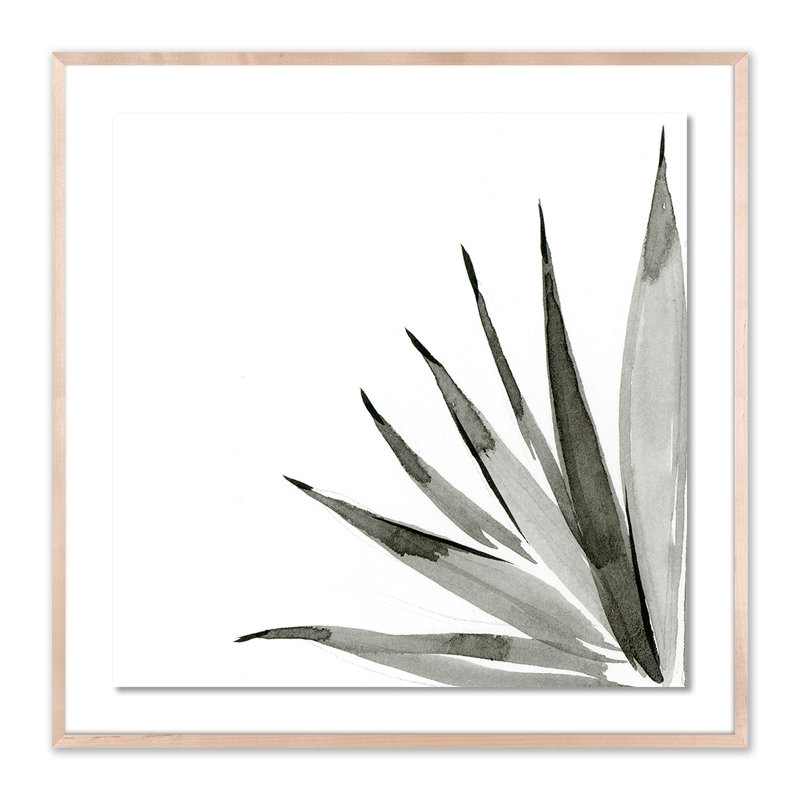 Agave I Print by Jess Engle, 40" H x 40" W x 2.5" D, Natural