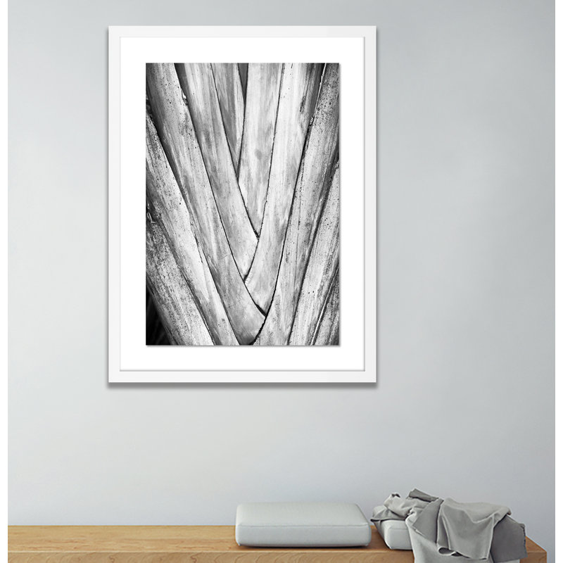Nature II Bw Print by Erica Singleton, White, 24" H x 18" W x 1.5" D