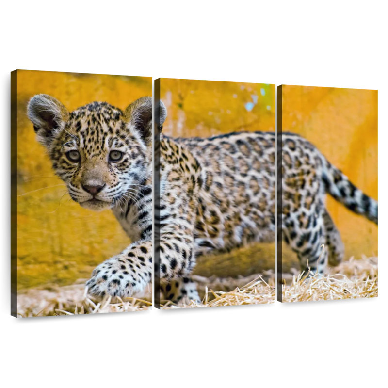 Jaguar Cub, 24" H x 38" W