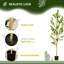 Olive artificielle en pot 6 pi Primrue