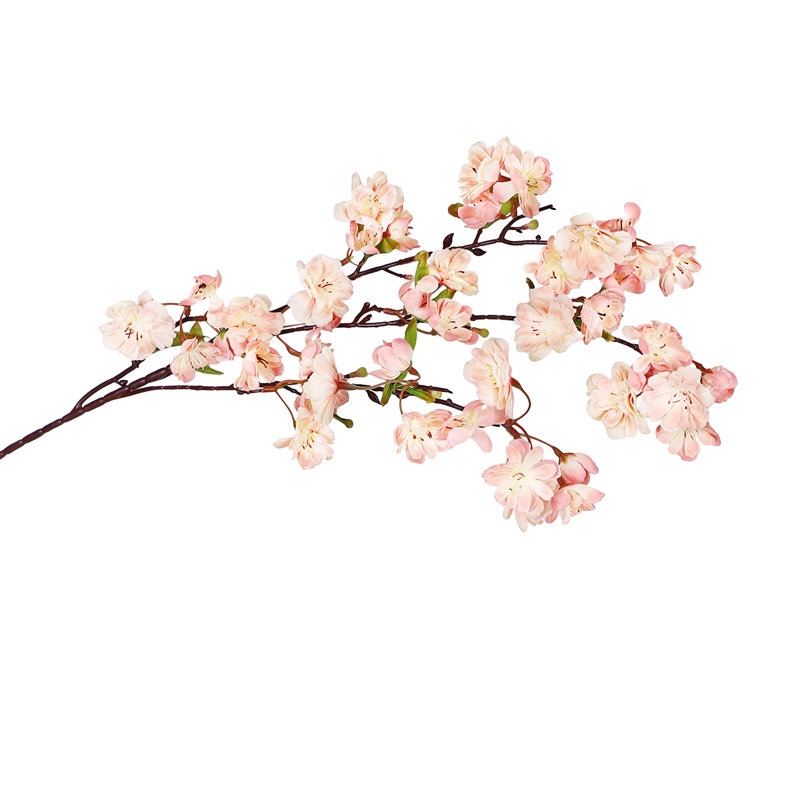 Fleur de cerisier en fleurs, Rosé / pêche