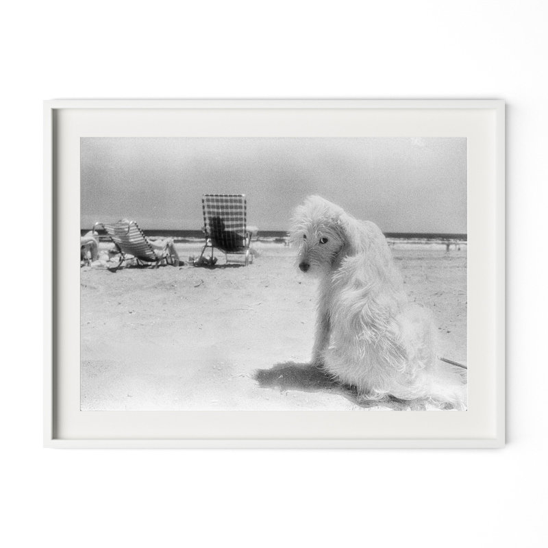 Lois At The Beach Print by Barbara Alper, W 48" x H 36", White Maple
