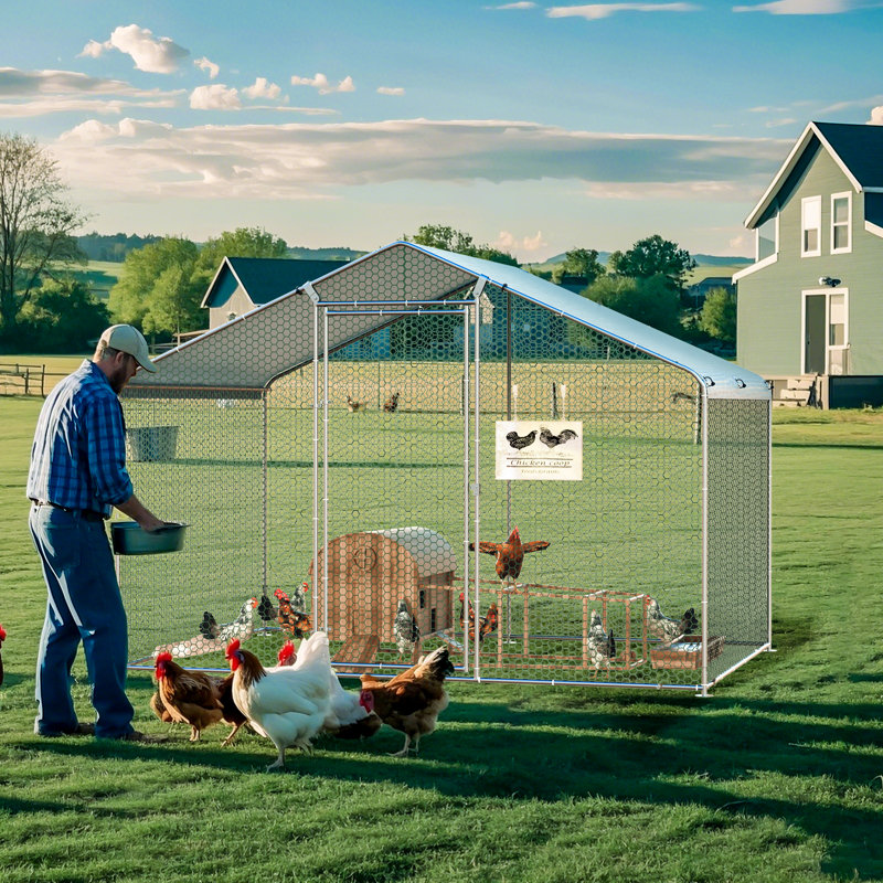Large Metal Chicken Coop(10' W x 6.6' L x 6.5' H)