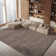 Jiang Area Rug in Taupe