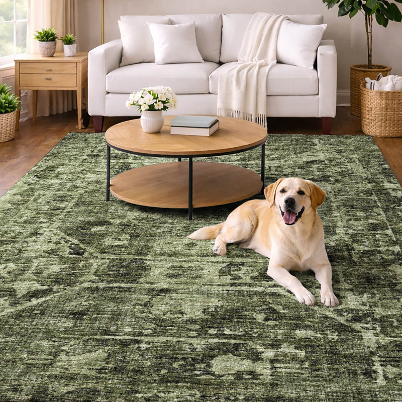 Tapis tribal à poils longs de qualité supérieure lavable à la machine, Olive, 3 pi x 5 pi