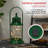 The Holiday Aisle® Battery Powered String Light-70731675