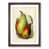 Walnut Framed