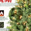 Arbre de Noël de 5 pi avec 300 lumières blanches chaudes, 967 pointes réalistes en PE + branches, branches à charnières pour installation sans tracas, support intemporel pré-enfilé au look naturel