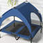 Polyester Pet Bed-1866052834