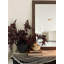 Miroir Vanhoose-1611146909-1725323131