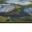 Tapis intérieur / extérieur Marina Hydrangea Blooms-521666898