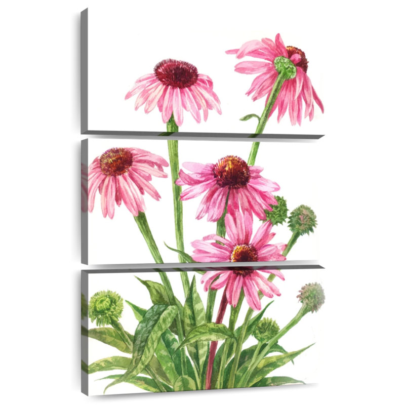Bouquet de fleurs d'échinacée Harnek, H 38 po x l 24 po