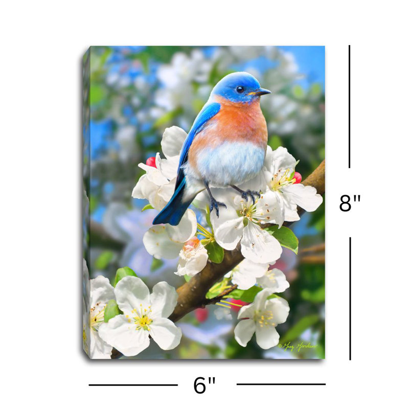 Bluebird 8x6 Mini Lighted Easel Back Canvas