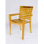 Teak Solid Wood Arm Chair