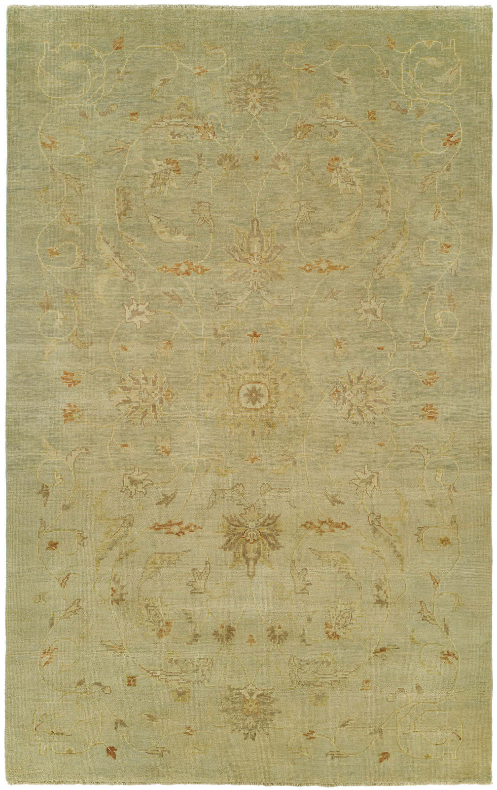 Darby Home Co Luca Floral Hand Knotted Wool Beige Area Rug | Wayfair