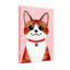 Animaux, chat mignon avec collier rouge et étiquette de patte-1422838493-1422838491-1422838490