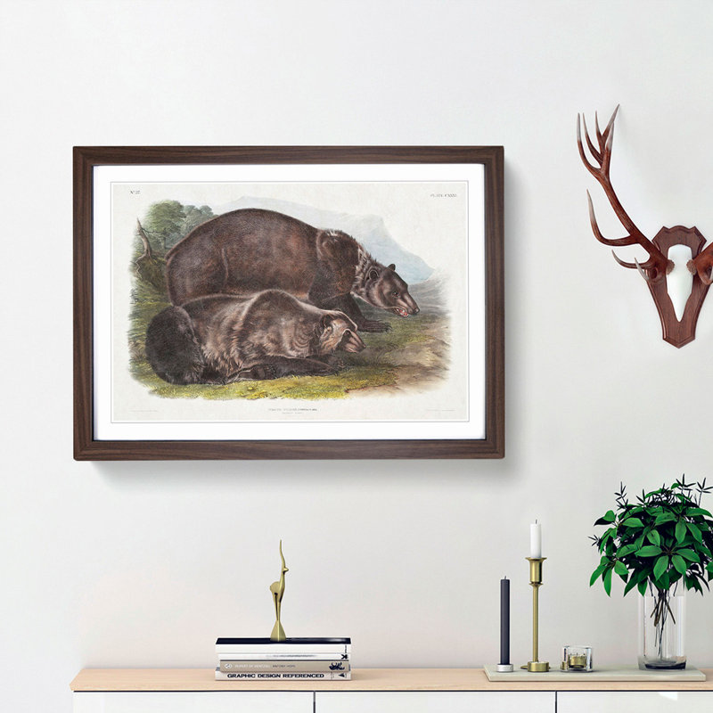 Grizzly Bears by J.W. Audubon - Picture Frame Painting Print, 36cm H x 48cm W x 2cm D, Walnut Framed