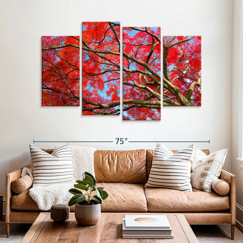 Harnek Japanese Maple Red Canopy, 42'' H x 68'' W