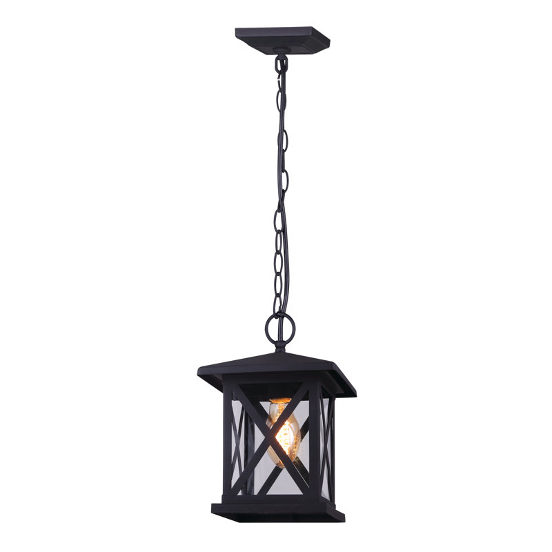 Lanterne suspendue d’extérieur h 11,75 po 1 ampoule noir Hackler