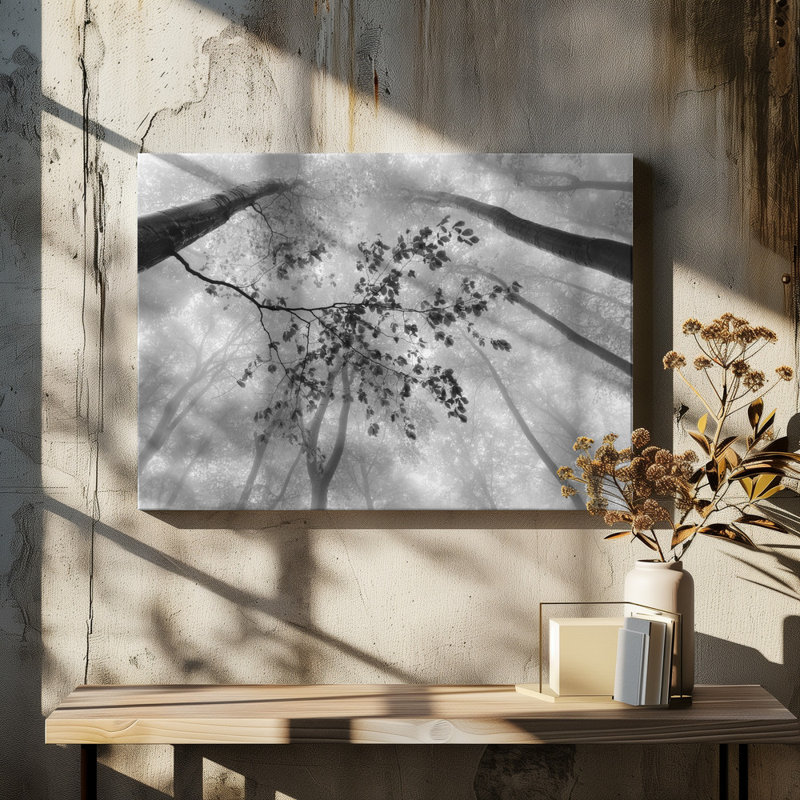 Wrapped Canvas Print, 50.8cm H x 76.2cm W