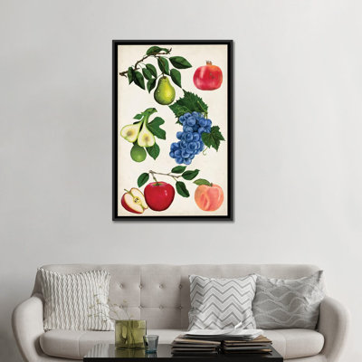 « fruit collection i », impression sur toile