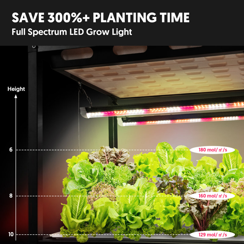 Tablette de culture hydroponique avec lumière de croissance, support de serre d'intérieur avec tente à lumière DEL à spectre complet, ensemble de culture d'intérieur Microgreen