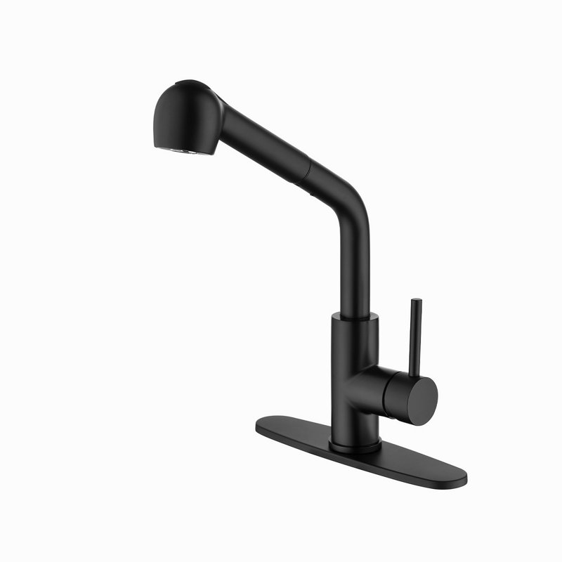 Robinet d'évier de cuisine à poignée simple avec douchette extractible, Noir mat