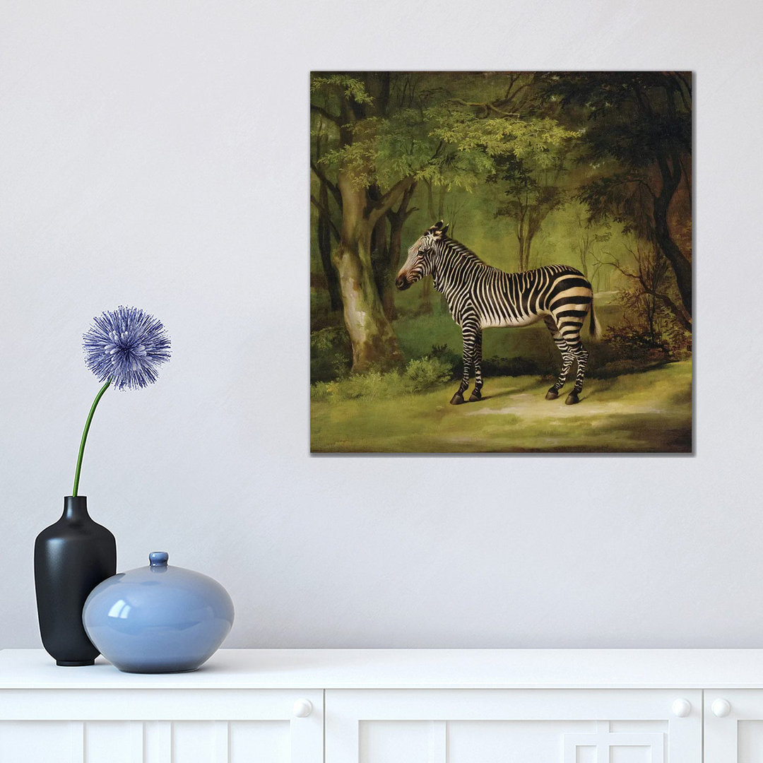 A Zebra, 1763 by George Stubbs - Painting on Canvas