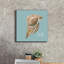 " Chill Seashell " by Cindy Jacobs-1753495750