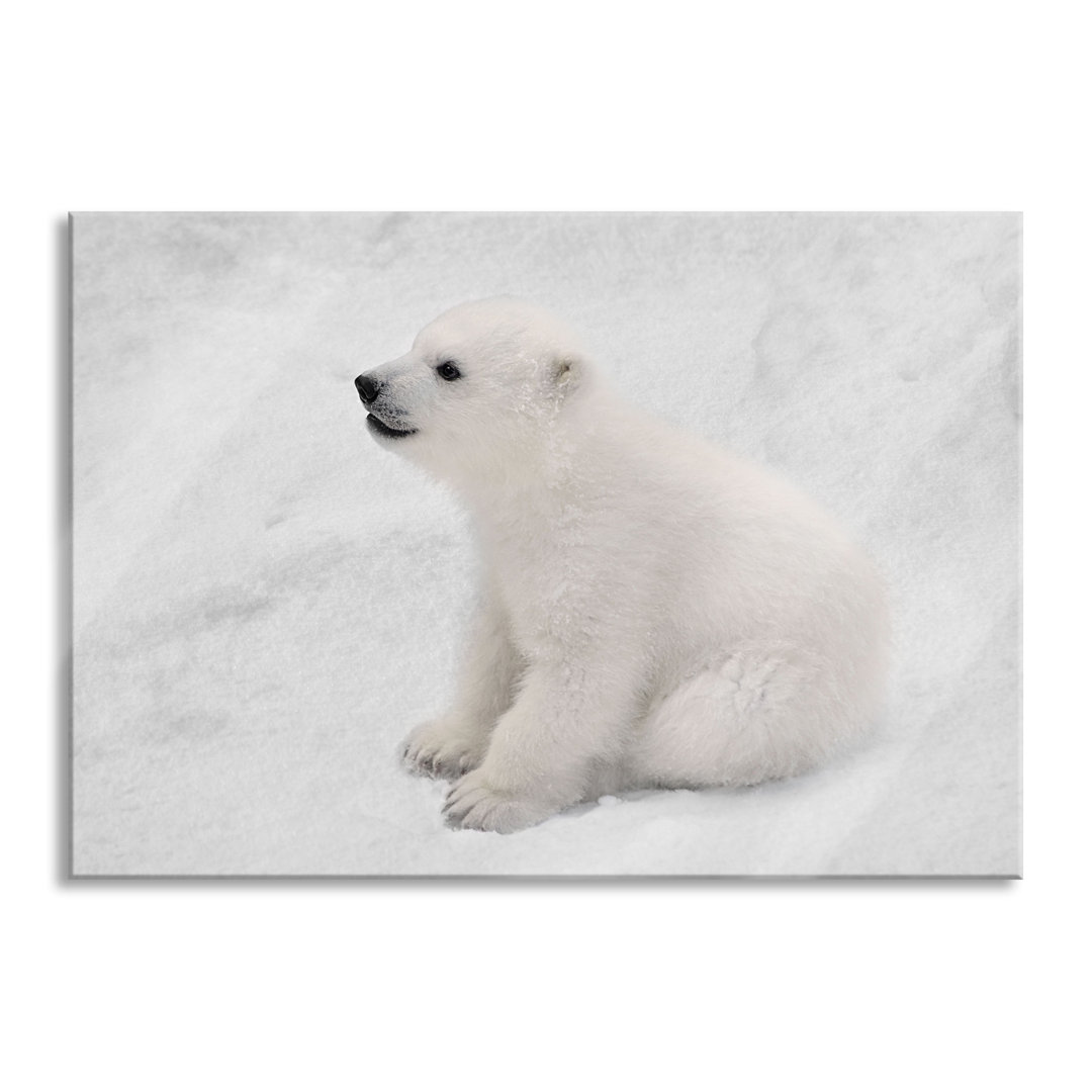 Ungerahmtes Foto auf Glas "Cute Polar Bear Cub"