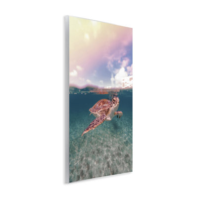 Art mural au-dessus et au-dessous de la tortue de mer par Max Blakesberg Studios