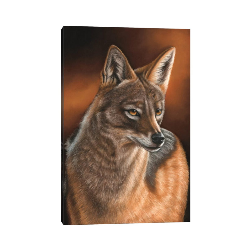 Jackal by Richard Macwee - Wrapped Canvas Gallery-Wrapped Canvas Giclée, 101.6 cm H x 66.04 cm W