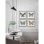 Fly Like A Butterfly by Marmont Hill - 4 Piece Single Picture Frame Painting Set-919708539