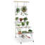 Eiler Plant Stand