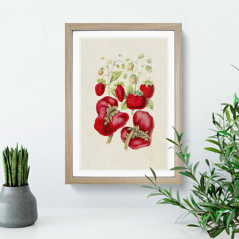 Illustration of Strawberry Plants - Framed Print, 36cm H x 27cm W x 2cm D, Oak Framed