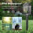 Low Voltage Solar Powered Integrated LED Pathway Light Kit