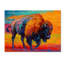 « rites of the prairie », reproduction sur toile tendue-21935944