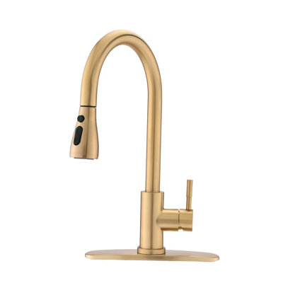 Sabine Pull Down Single Handle Kitchen Faucet With Deck Plate -  MAXWELL, D3411-BG