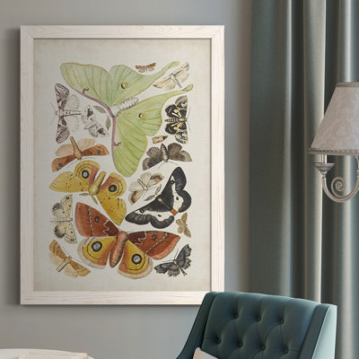 Papillons antiques I