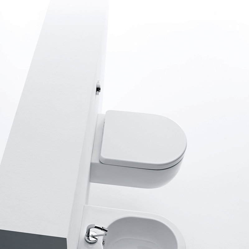 WS Bath Collections Flo 1.28 Gallons GPF Elongated Wall Mounted Kit (Seat Included)