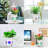 Hansen Grow Light
