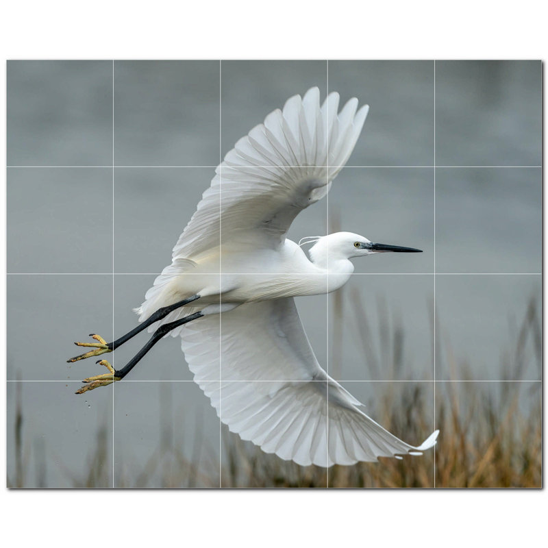 Photo d'oiseau 6 x 6
