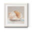 Impressionist Shell Study IV - Cadre photo, reproduction d'art sur papier-2121344464-2121344465