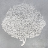 Seafan X Print by L. Bodine