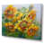 Wrapped Canvas
