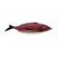 Fish Earthenware Platter