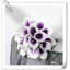 Arrangement Lillies-623490072-623490070