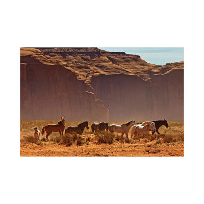 Wild Horses in Southern Utah 1 Piece Wrapped Canvas Wall Art